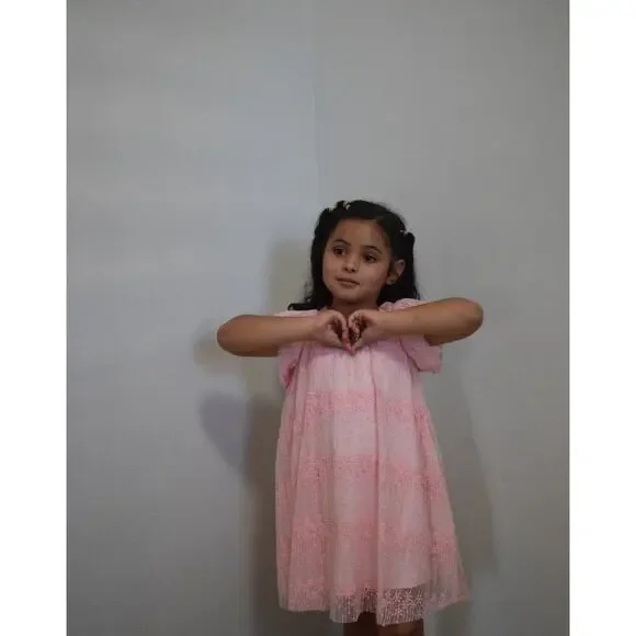 Pink Elegant Dress 3